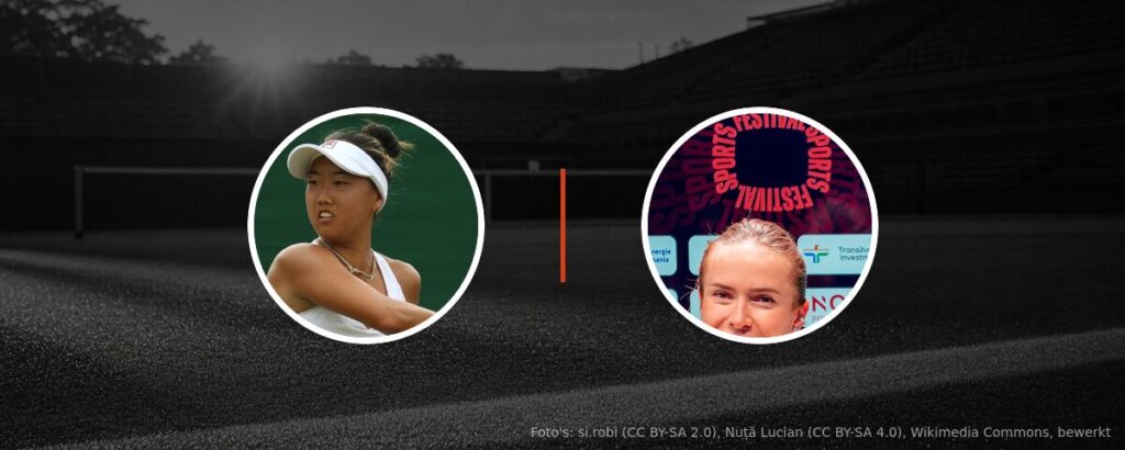 Ann Li – Elina Svitolina op tv